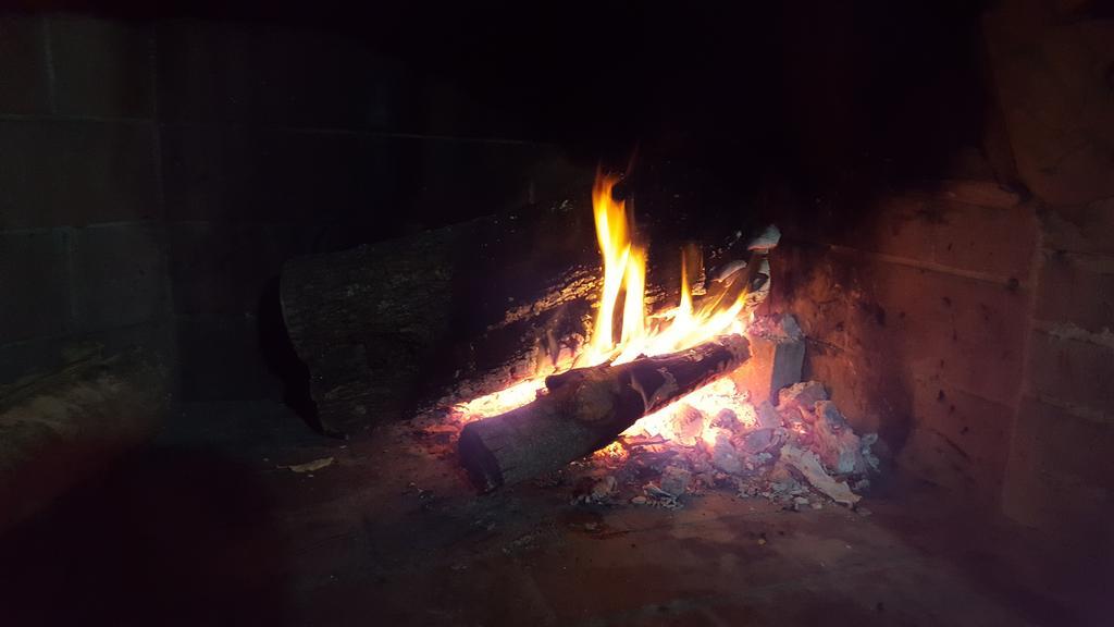 Partaitria *